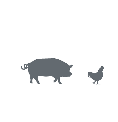 especies_doloneurocom_h2o