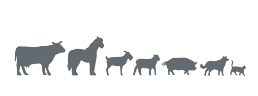 especies_tetracom